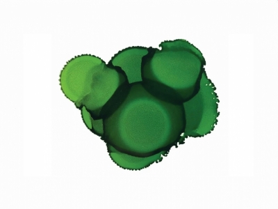 Jacquard Pinata Ink, JFC021, Цвет зелёного лайма, 15 мл